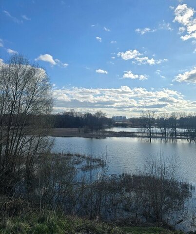 земля д Рушродо городское поселение Морки фото земля д Рушродо городское поселение Морки фото