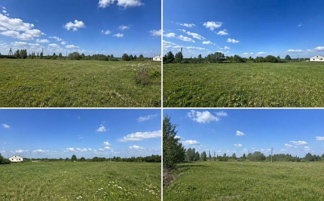 д Новое Овсино Шимск фото д Новое Овсино Шимск фото