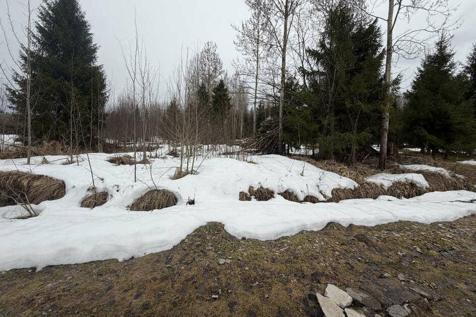 земля р-н Вологодский п Можайское фото 2