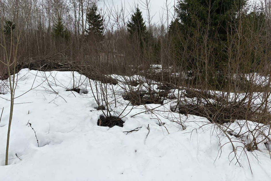 земля р-н Вологодский п Можайское фото 7
