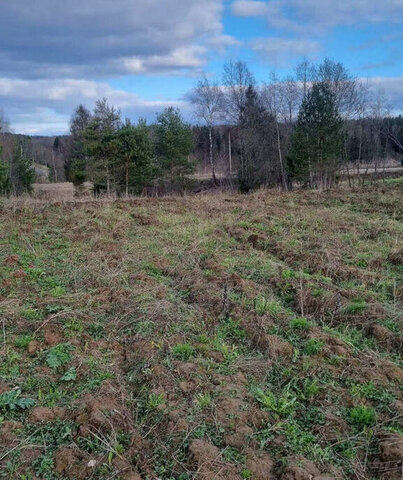 деревня Филино Пудегский сельсовет фото деревня Филино Пудегский сельсовет фото