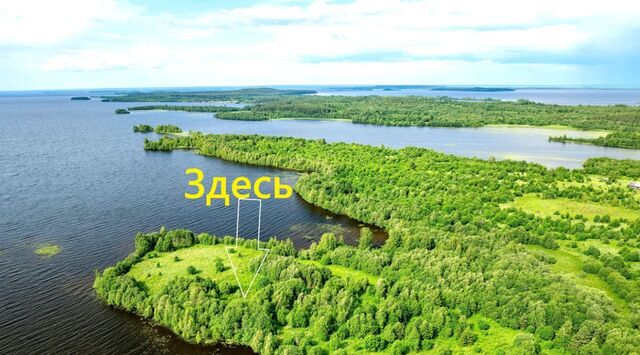 земля г Медвежьегорск Анишевская тер фото земля г Медвежьегорск Анишевская тер фото