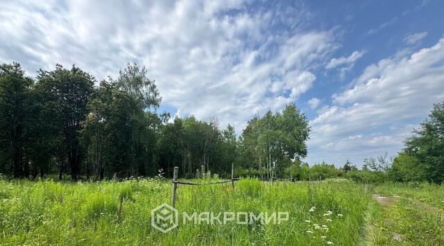 п Мичуринский фото п Мичуринский фото