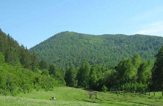 р-н Бейский д Дехановка фото р-н Бейский д Дехановка фото