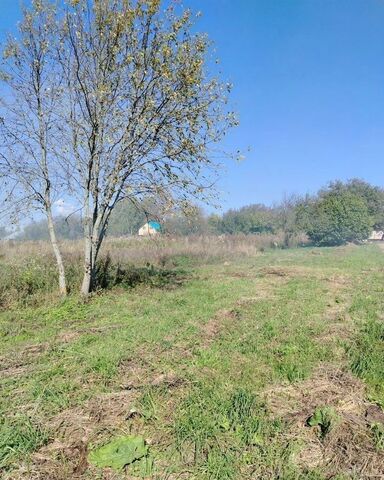 земля д Элекенер Октябрьское сельское поселение, Морки фото земля д Элекенер Октябрьское сельское поселение, Морки фото
