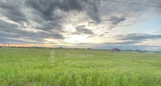 р-н Шимский рп Шимск Р-56, 49-й км фото р-н Шимский рп Шимск Р-56, 49-й км фото