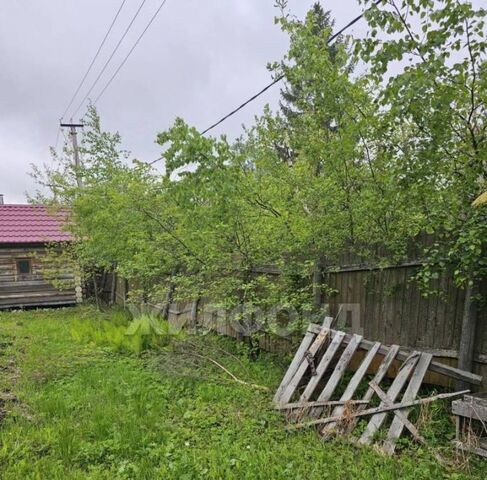 р-н Приморский снт Судоремонтник 19-я линия фото р-н Приморский снт Судоремонтник 19-я линия фото