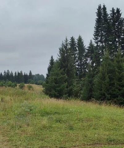 р-н Завьяловский д Динтем-Бодья ул Ветеранов Ижевск фото р-н Завьяловский д Динтем-Бодья ул Ветеранов Ижевск фото