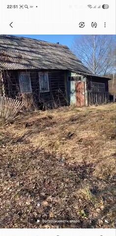 д Мишино Дедовичи фото
