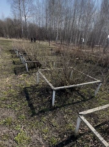 рп Мошково некоммерческое садоводческое товарищество Дружба-1, 458/459 фото рп Мошково некоммерческое садоводческое товарищество Дружба-1, 458/459 фото