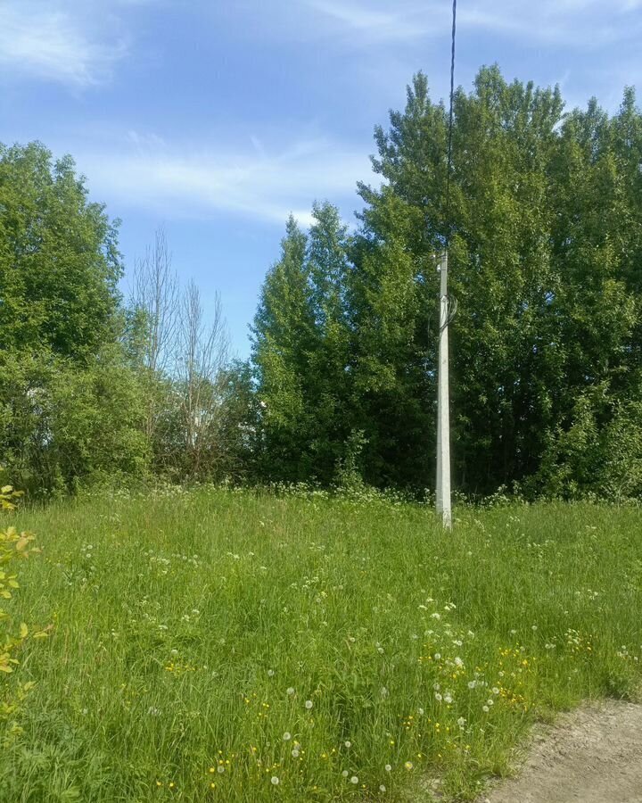 земля р-н Вологодский п Дубровское Вологда фото 5