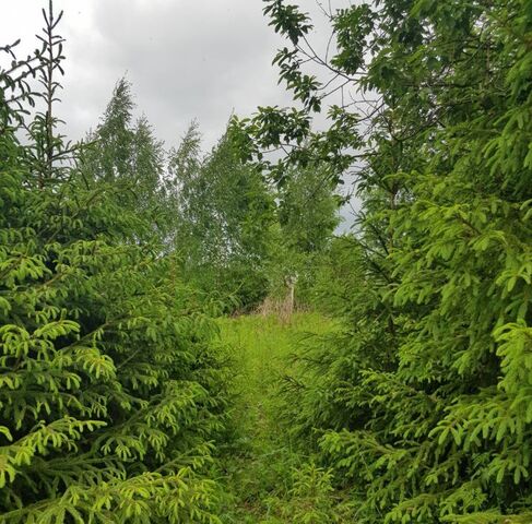 земля Дубрава фото