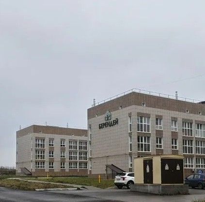 р-н Липецкий с Подгорное ул Тамбовская 24 жилой район «Берендей» Берендей кп фото