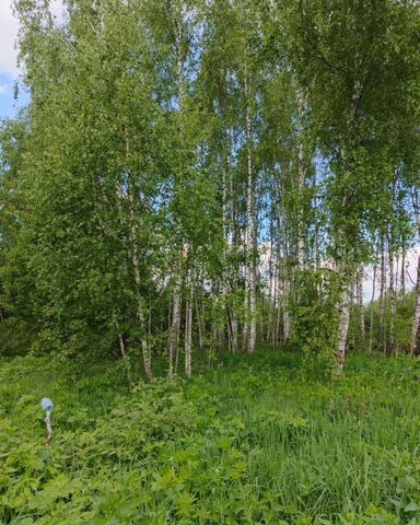 земля д Бортники 343, Таруса, Тарусский муниципальный округ фото земля д Бортники 343, Таруса, Тарусский муниципальный округ фото
