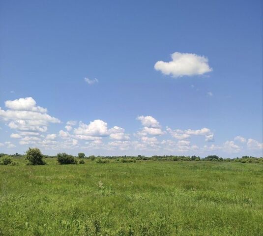 с. Деревня Старое, 3 фото с. Деревня Старое, 3 фото