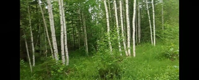 снт Скалистый Первоуральск, Невьянский муниципальный округ, садоводческое товарищество № 3 фото снт Скалистый Первоуральск, Невьянский муниципальный округ, садоводческое товарищество № 3 фото