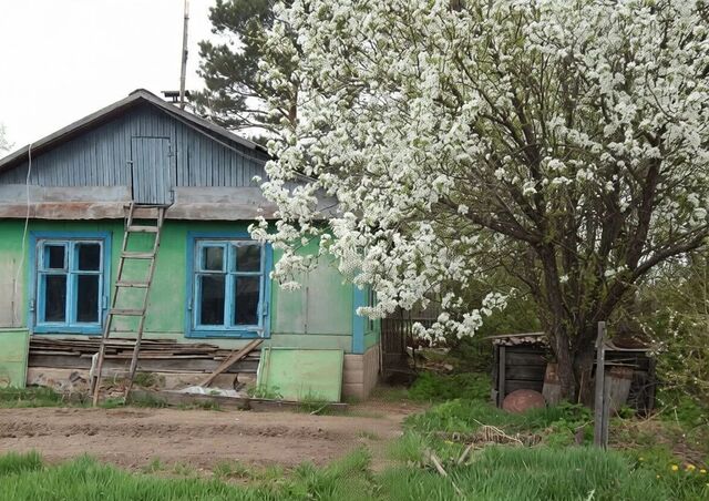 дом р-н Смидовичский с Партизанское ул Переселенческая 10 Еврейская автономная обл., Николаевка фото дом р-н Смидовичский с Партизанское ул Переселенческая 10 Еврейская автономная обл., Николаевка фото