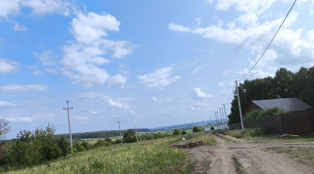 земля р-н Лямбирский с Тарасполь Пензятское с/пос фото