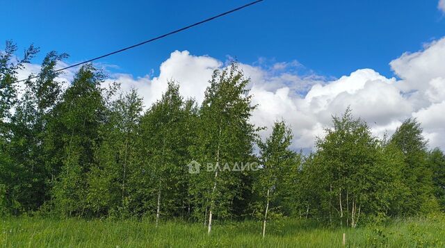 г Йошкар-Ола д Шоя-Кузнецово ул Грушевая 55 фото г Йошкар-Ола д Шоя-Кузнецово ул Грушевая 55 фото