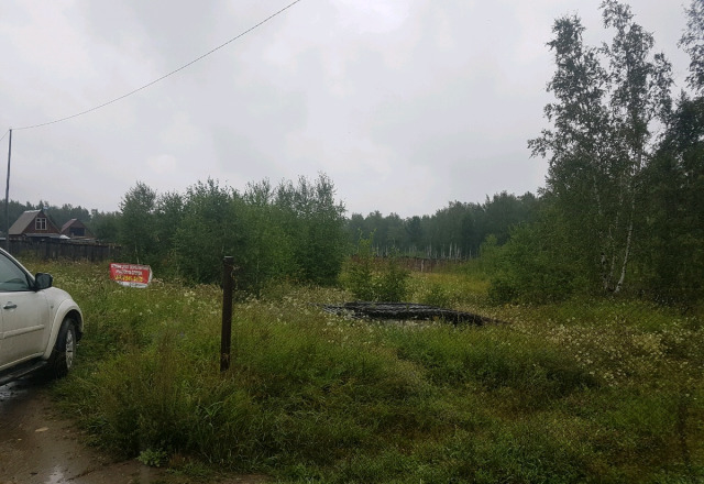 ДНТ Калиновка, поле Калиновка-6, Ангарск фото