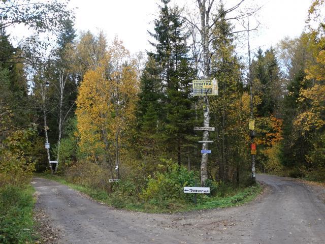 дом городской округ Дмитровский д Щетнево фото 15