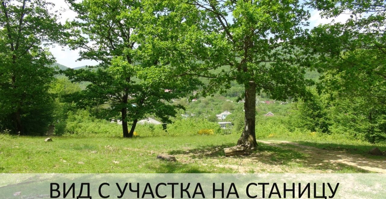 земля р-н Туапсинский с Молдавановка Джубга кп фото 5