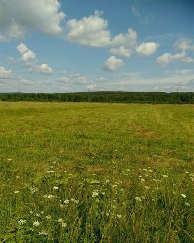 ул Фаины Шаруновой фото