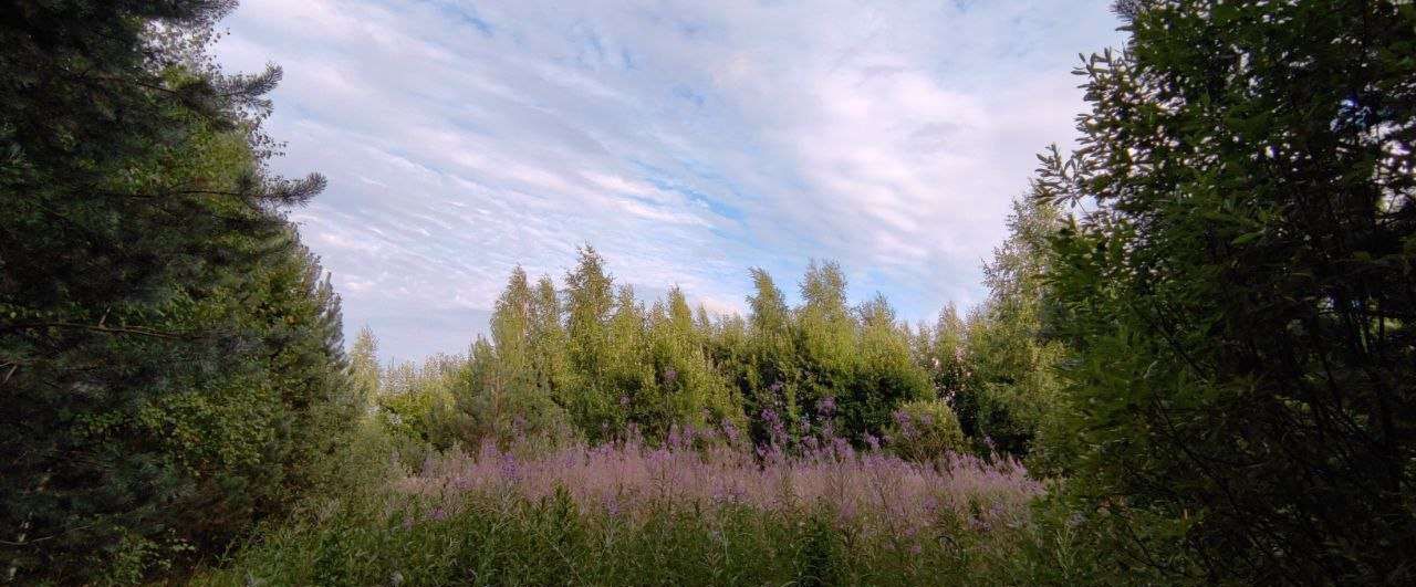 земля р-н Валдайский д Долгие Бороды Рощинское сельское поселение, Валдай фото 5