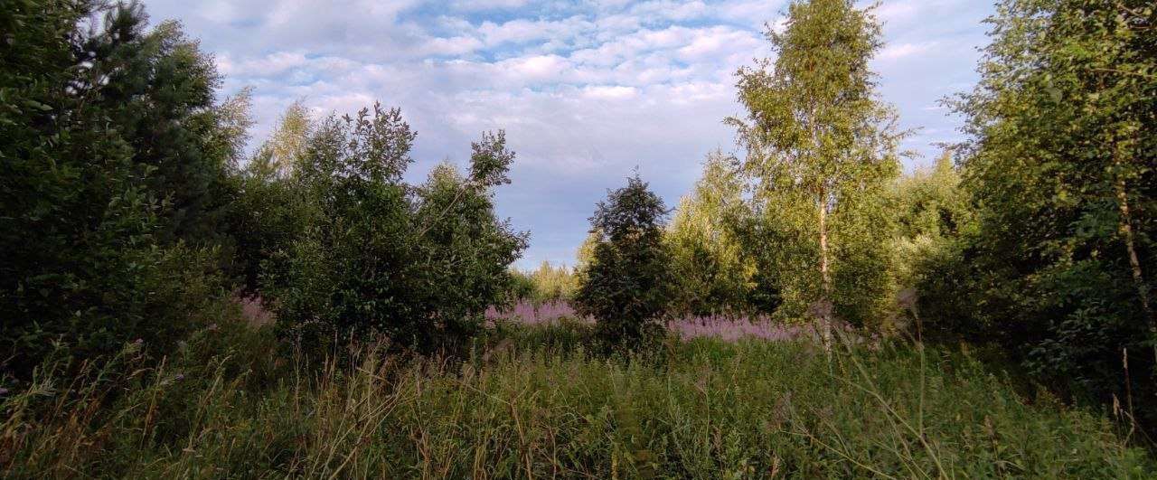 земля р-н Валдайский д Долгие Бороды Рощинское сельское поселение, Валдай фото 4