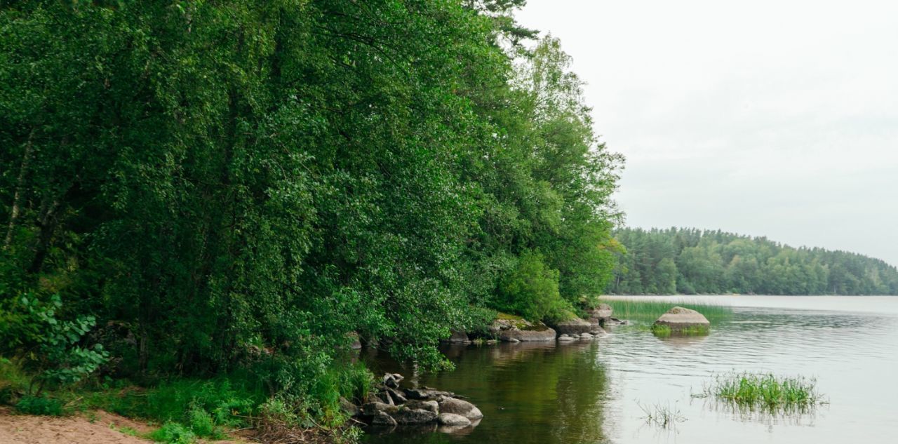 земля р-н Выборгский Приморское городское поселение, Сосновый пляж кп фото 34