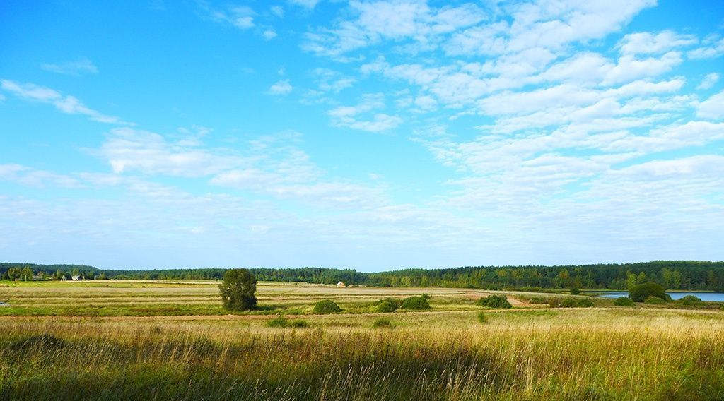 земля р-н Печорский д Печки фото 1