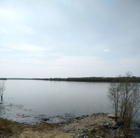 земля р-н Омский с Надеждино ул Центральная фото