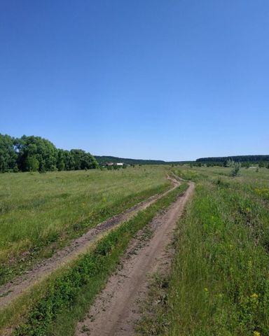 п Лысогорский Красный Гуляй фото