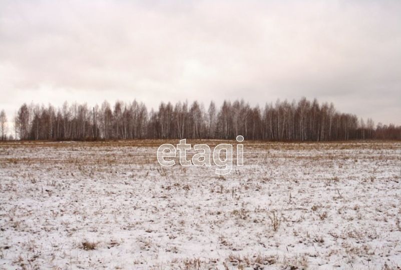 земля р-н Лямбирский с Тарасполь Пензятское сельское поселение, Лямбирь фото 1