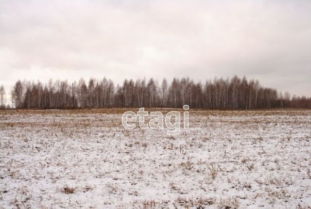 земля р-н Лямбирский с Тарасполь Пензятское сельское поселение, Лямбирь фото