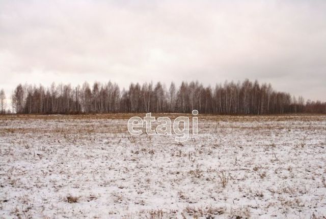 р-н Лямбирский с Тарасполь Пензятское сельское поселение, Лямбирь фото