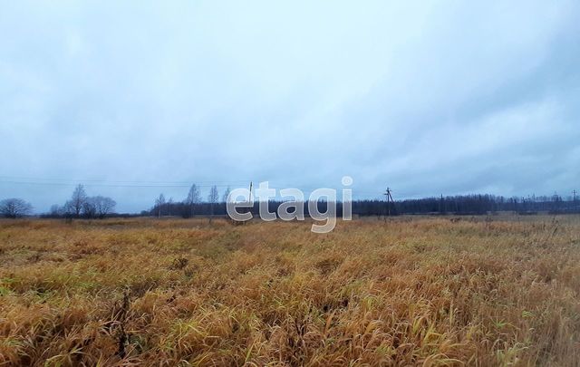 р-н Киришский г Кириши Киришское городское поселение фото