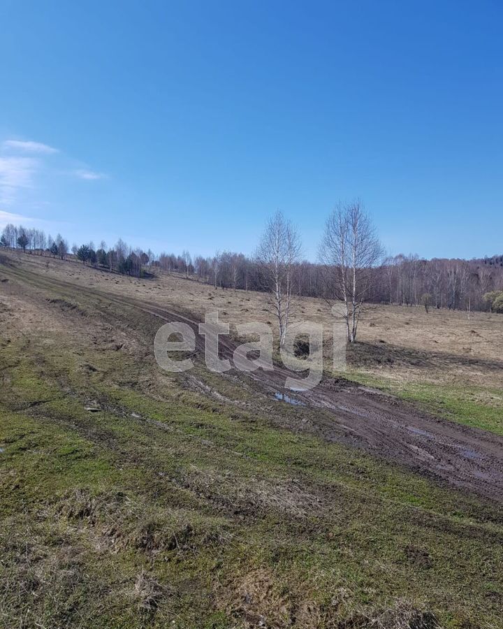 земля р-н Новокузнецкий с Куртуково ул Нагорная-1 Осинники фото 2