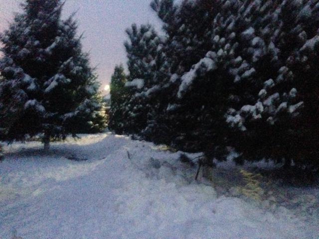 дом городской округ Раменский д Островцы Островцы д. Лесная ул фото 4