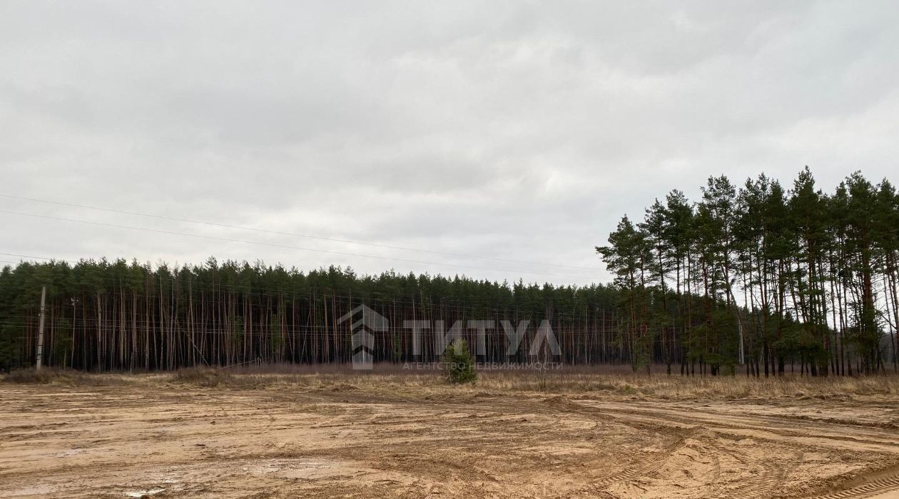 земля р-н Малоярославецкий с Детчино ул Базарная фото 3