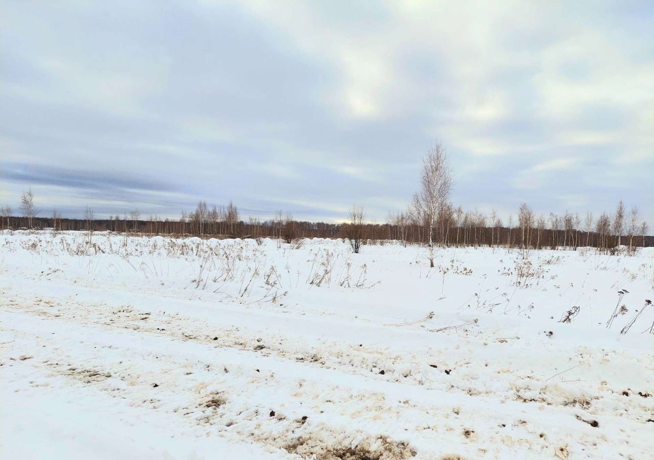 земля городской округ Раменский д Заозерье Островцы фото 11