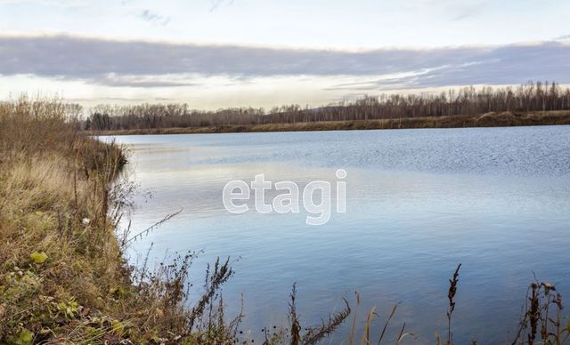 г Новокузнецк Технологическая ул фото