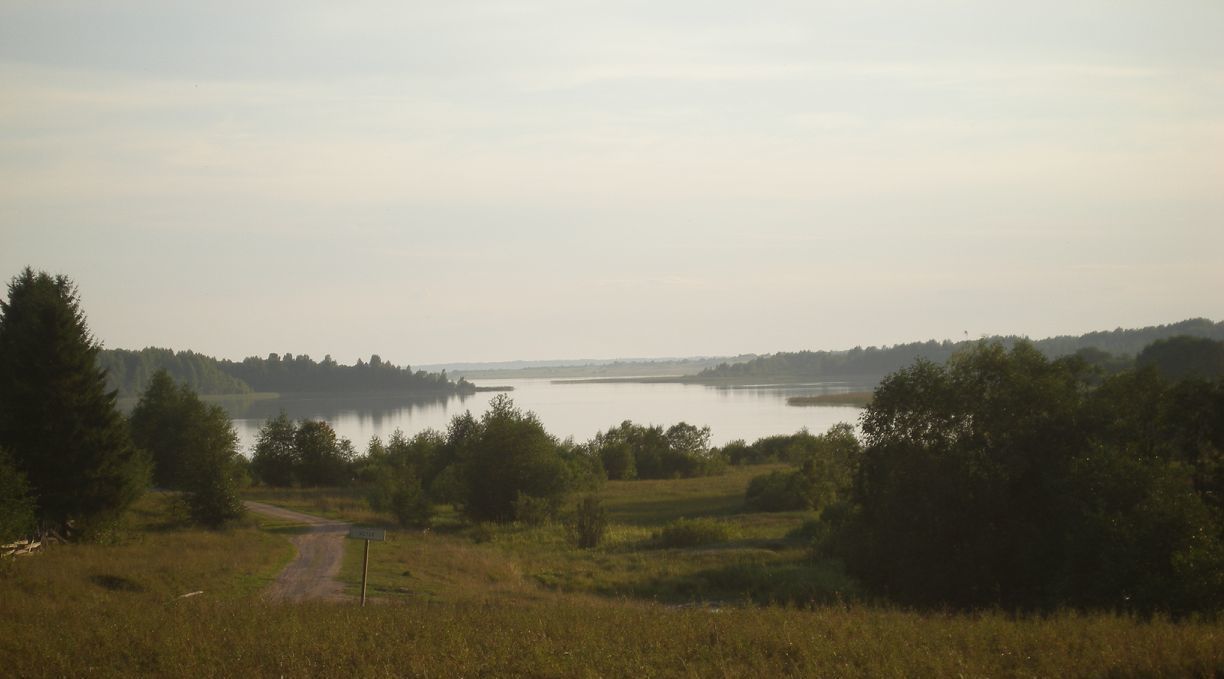 земля р-н Мошенской д Броди фото 1