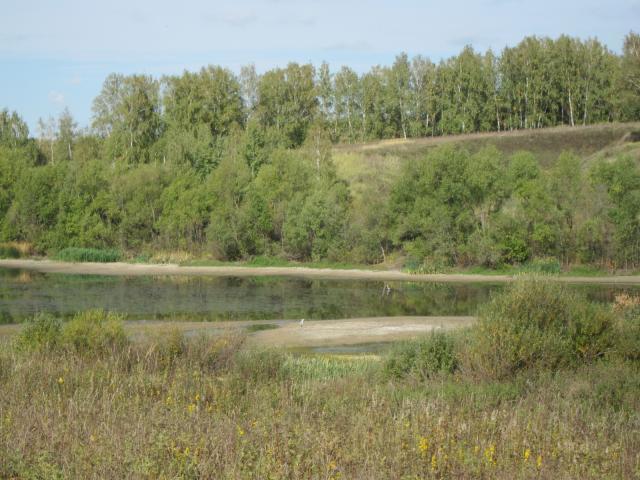 земля городской округ Зарайск д Дубакино фото 3