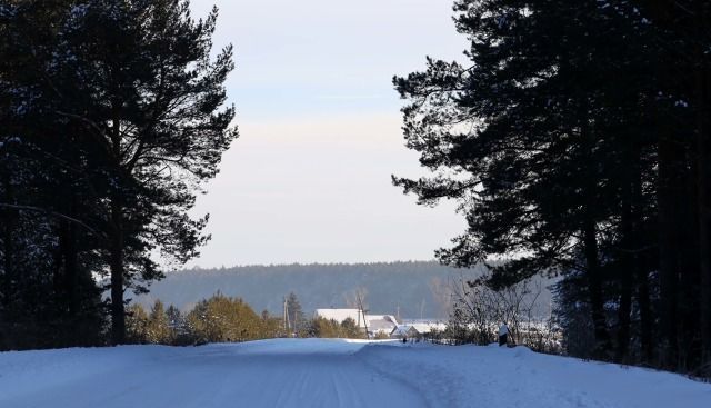 земля р-н Каменский д Давыдова ул Исетская Каменск-Уральский фото 15