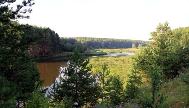 земля р-н Каменский д Давыдова ул Исетская Каменск-Уральский фото 16