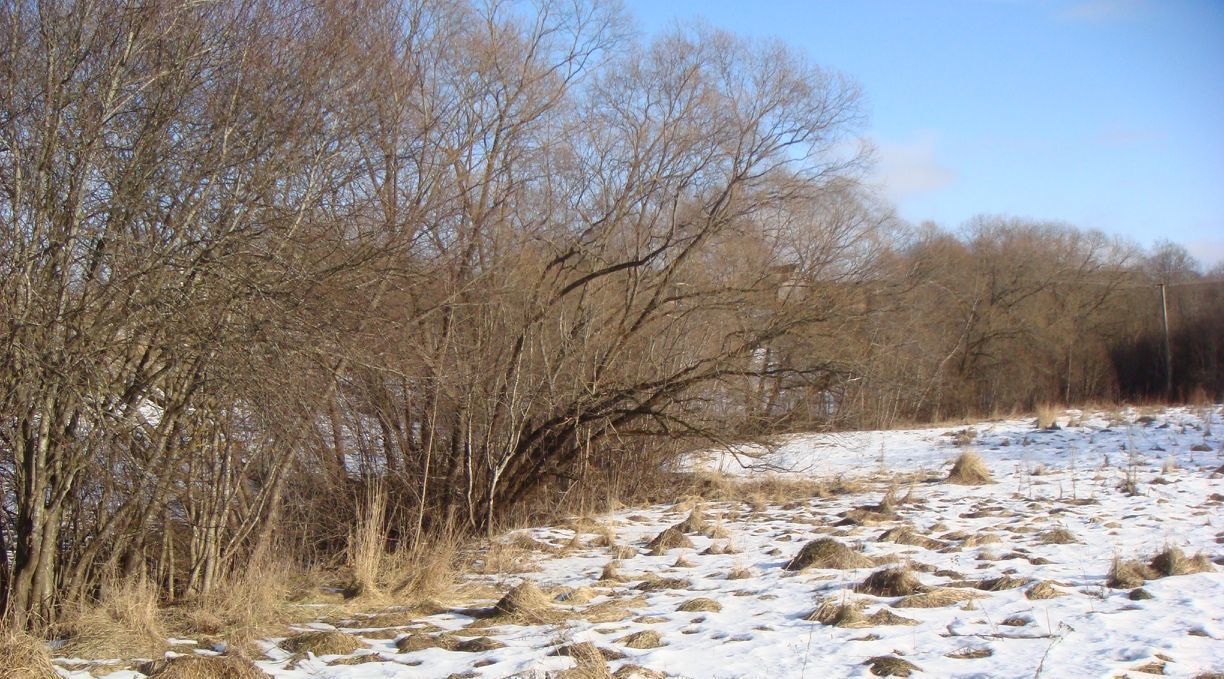 земля р-н Печорский д Изборск ул Заводская фото 8