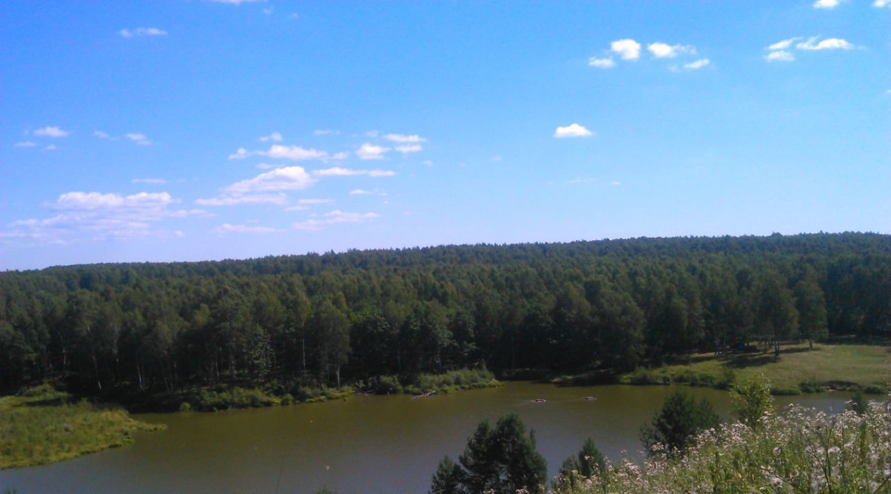 земля р-н Богородский д Крутец (Алешковский сельсовет) ул Советская фото 3