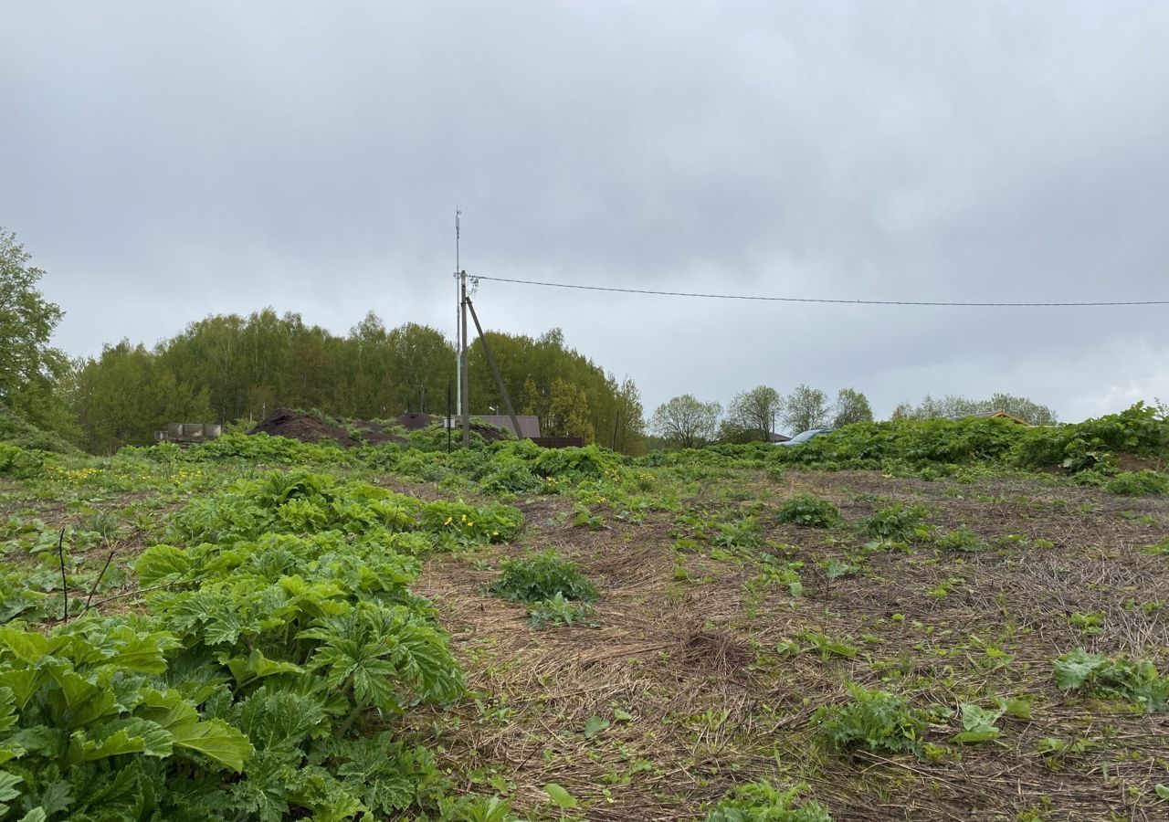 земля городской округ Истра д Рыбушки г. о. Истра, Новопетровское фото 3