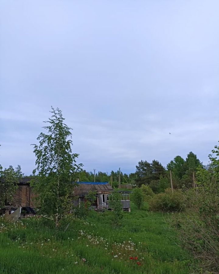 земля р-н Приозерский п Боровое Кузнечнинское городское поселение, Кузнечное фото 9